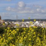 Musical inspiration in a rural setting