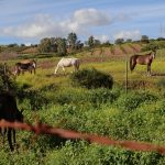 Best music retreat ideas