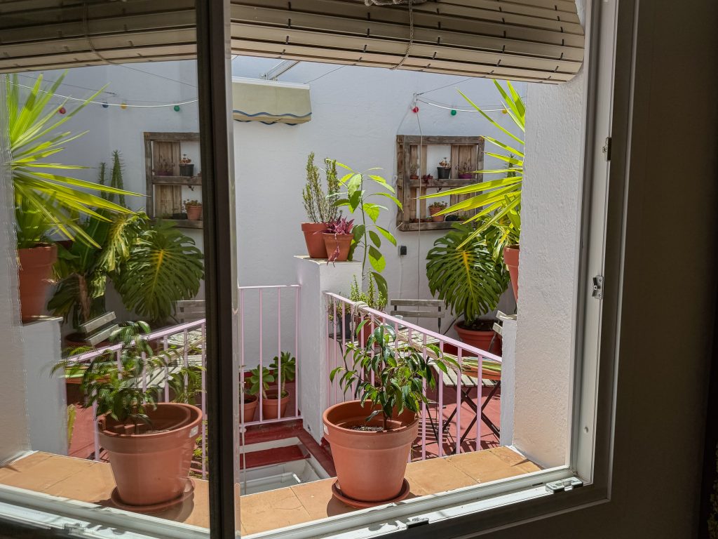 Plantas en la terraza de hueco studio
