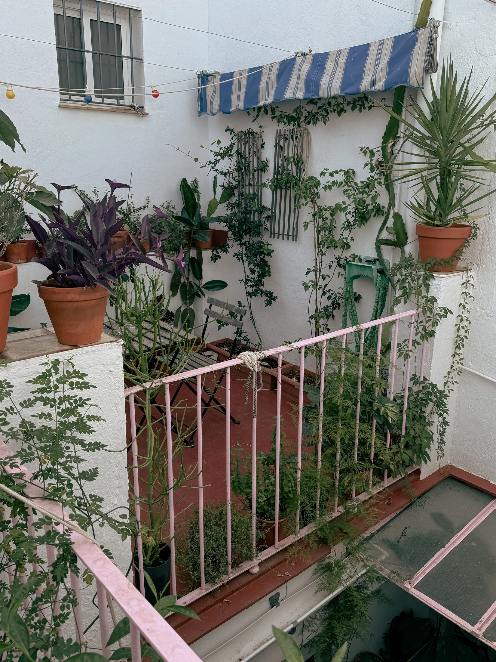 Terraza con plantas
