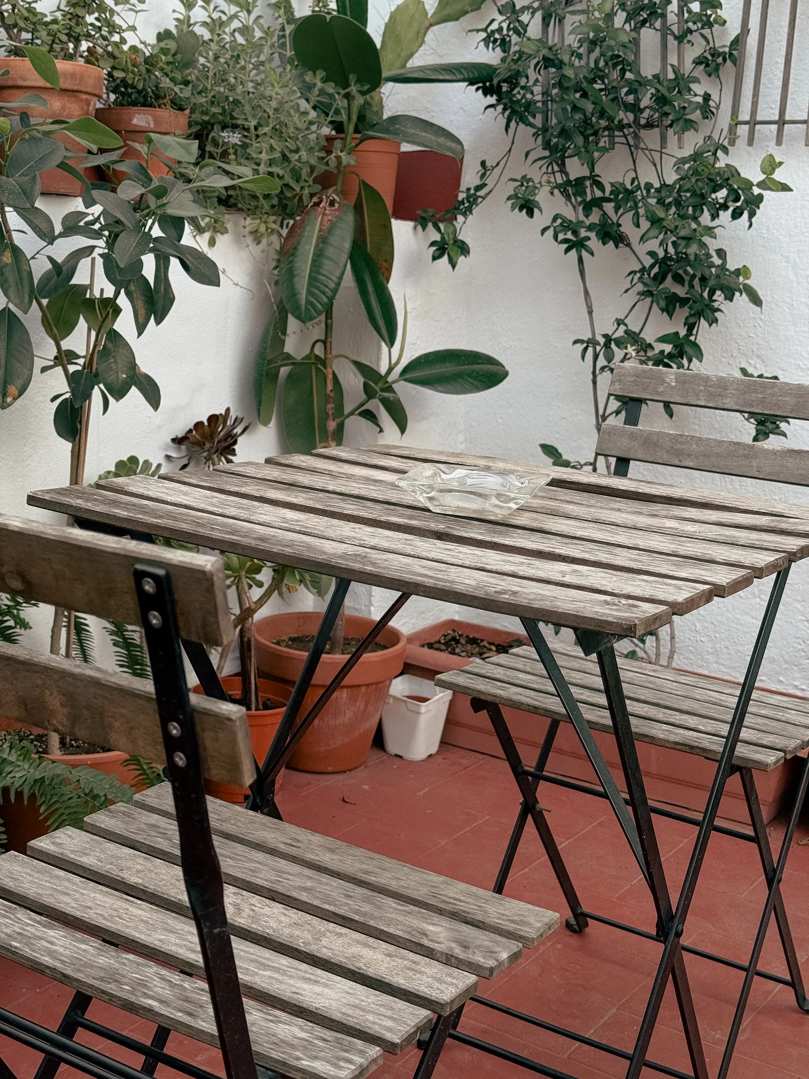 Mesa y sillas con plantas en terraza